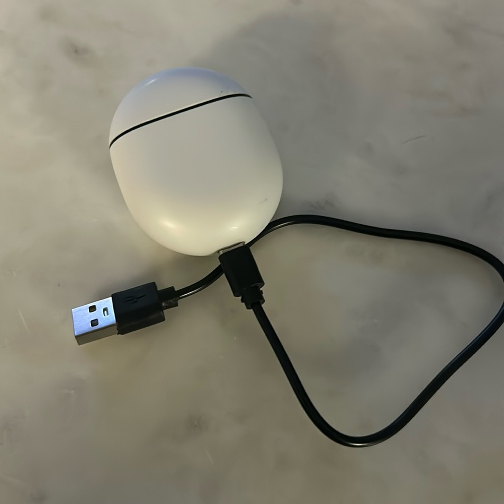 Google pods pro